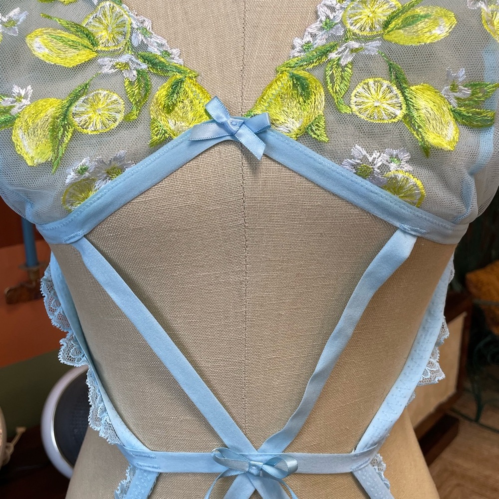 NWT For Love and Lemons X Victoria’s Secret Embroidered Lemon Bodysuit
With Bow - Picture 2 of 4